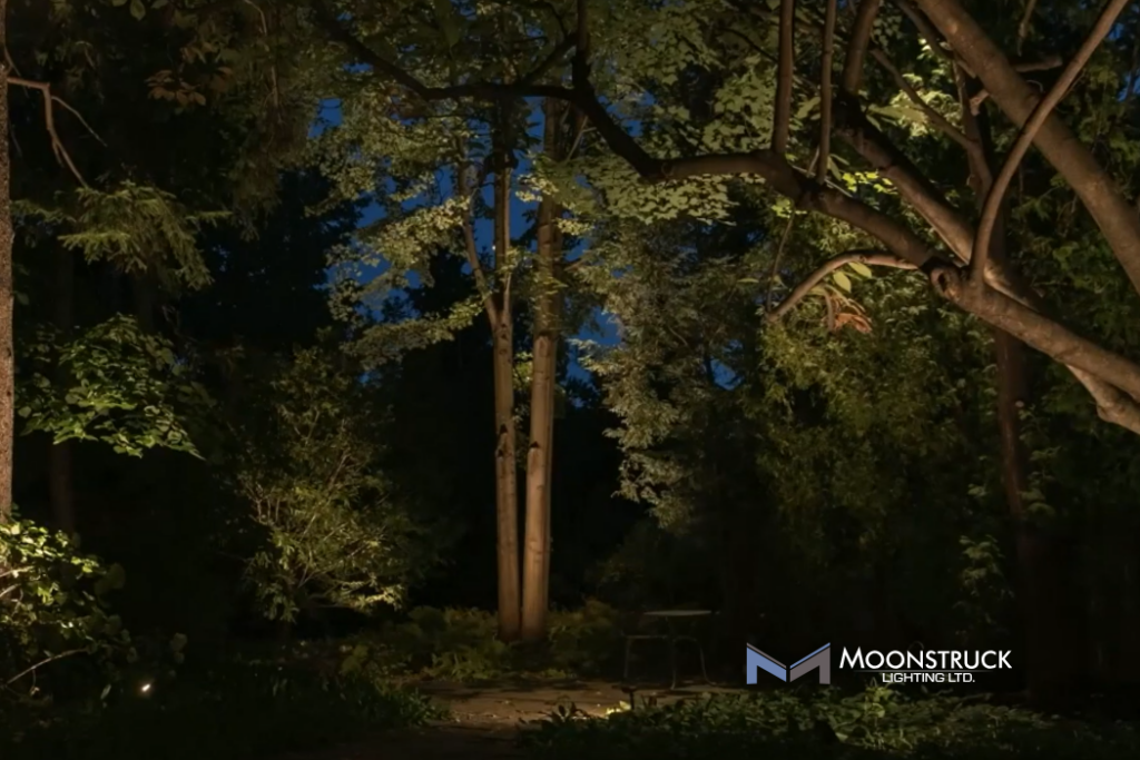 Biophilic lighting Toronto - Natural Landscape Lighting - Moonstruck Lighting Ltd