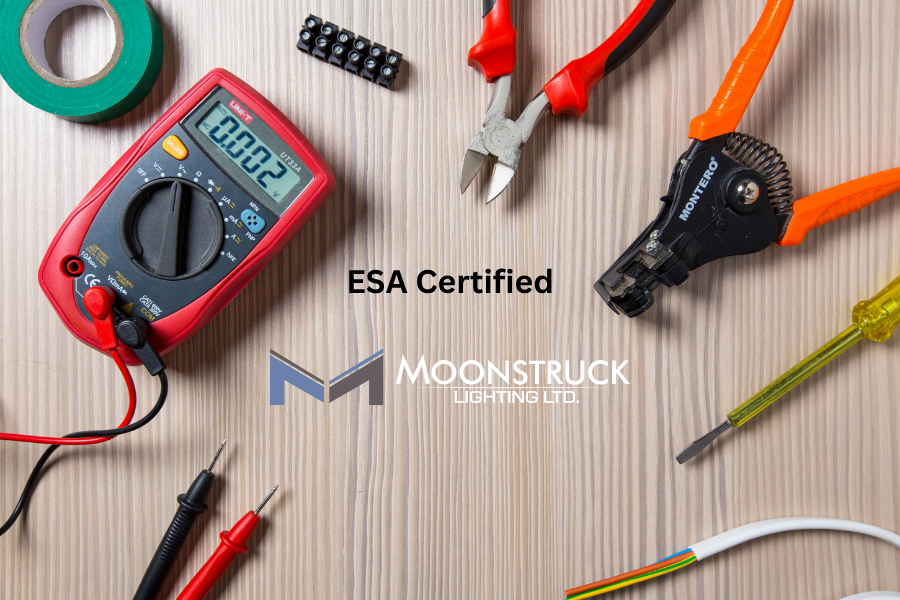 Why You Need a Certified Electrician for Outdoor Landscape Lighting in Ontario